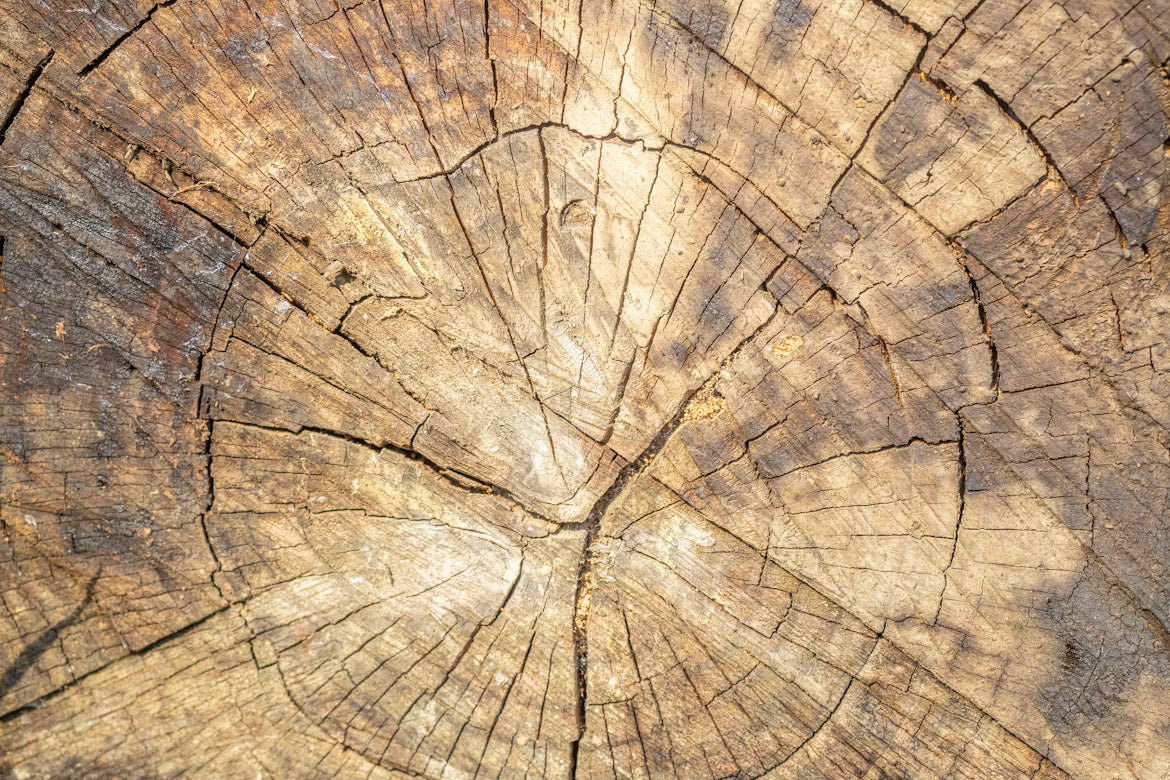 What is Solid Wood Furniture?